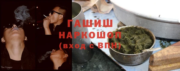 шишки Богородицк