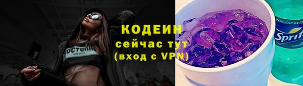шишки Богородицк