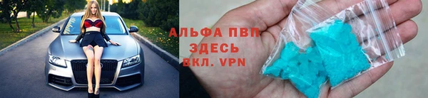 шишки Богородицк