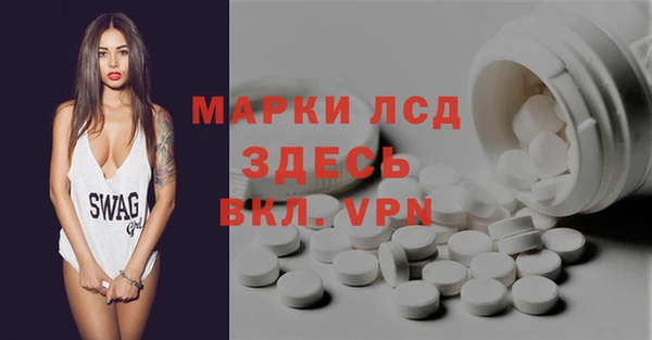 шишки Богородицк
