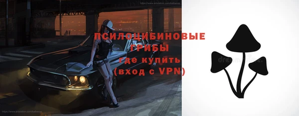 шишки Богородицк