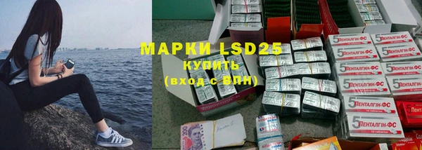 шишки Богородицк