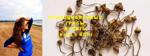 шишки Богородицк
