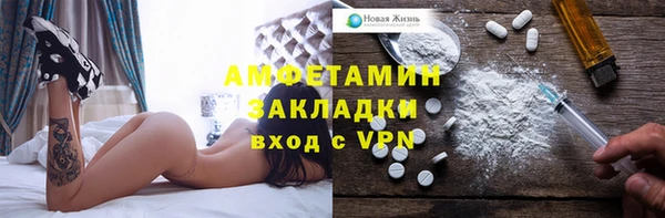 шишки Богородицк
